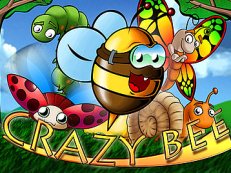 crazy bee