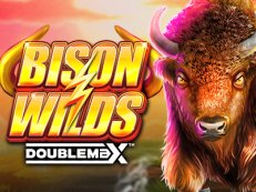 Bison Wilds DoublemaX slot reflex gaming